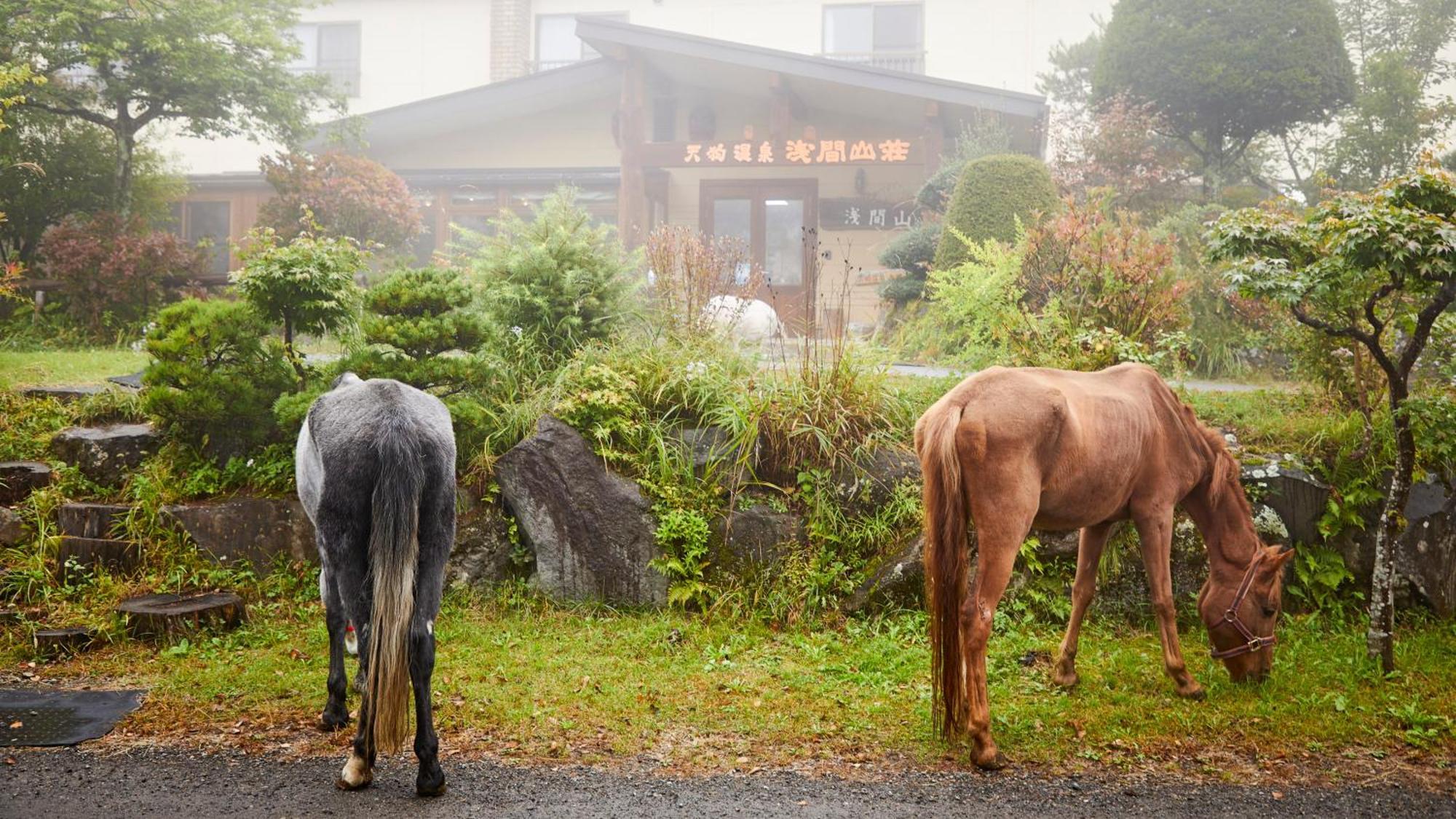 Tengu Onsen Asama Sanso Komoro Exterior foto